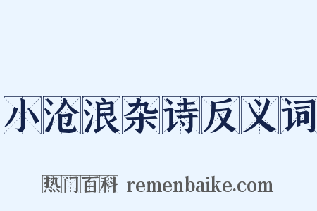 小沧浪杂诗反义词是什么意思的图片